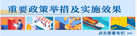 重要政策舉措及實施效果